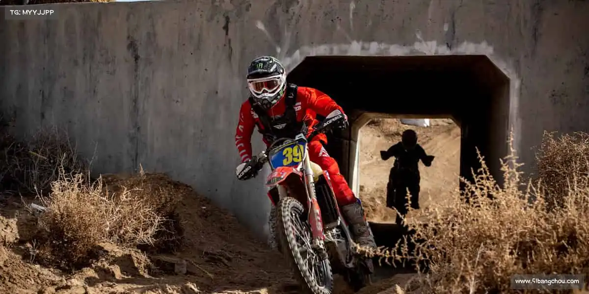 我们的品牌价值